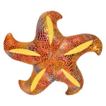 10-inch-starfish-698638_168369