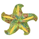10-inch-starfish-698638_168371