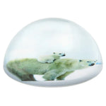 80-mm-dome-paperweight-polar-bear-614323_614323