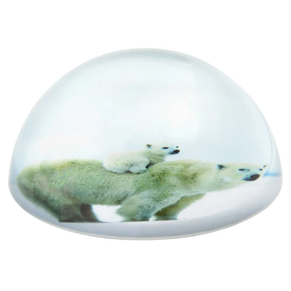 80-mm-dome-paperweight-polar-bear-614323_614323