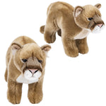 12-heirloom-mountain-lion-617878_617878