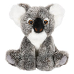 12-heirloom-floppy-koala-618121_618121