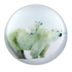 80-mm-dome-paperweight-polar-bear-614323_113534
