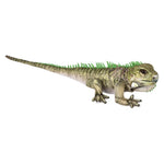 19-inch-iguana-642541_642541