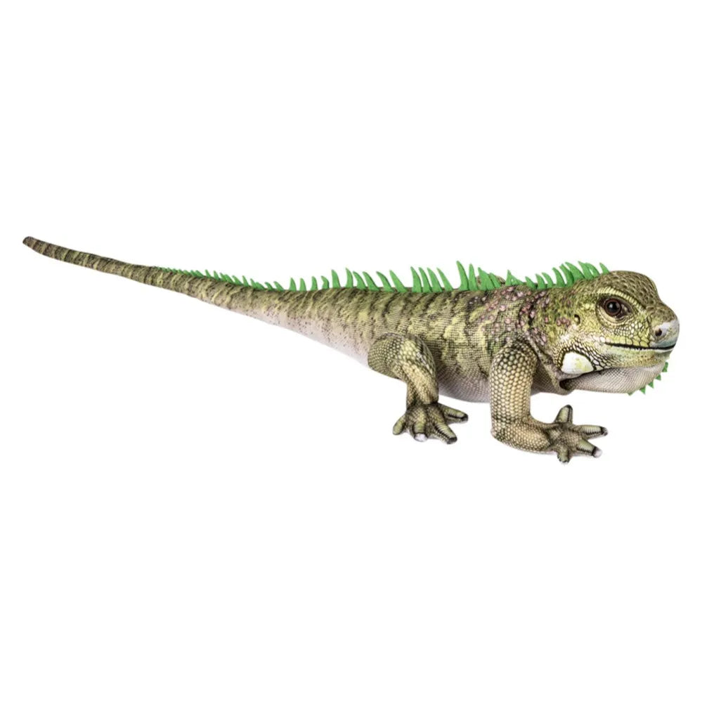 19-inch-iguana-642541_642541
