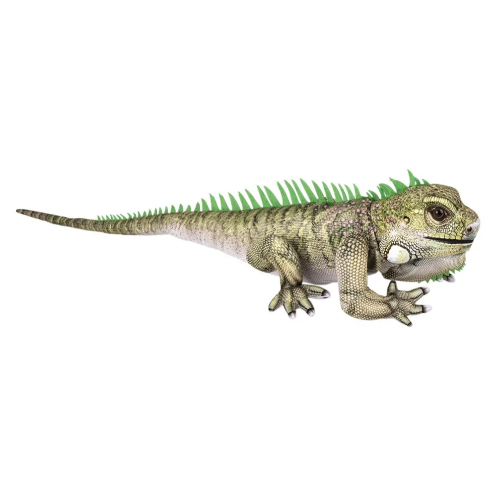 33-inch-iguana-642542_642542