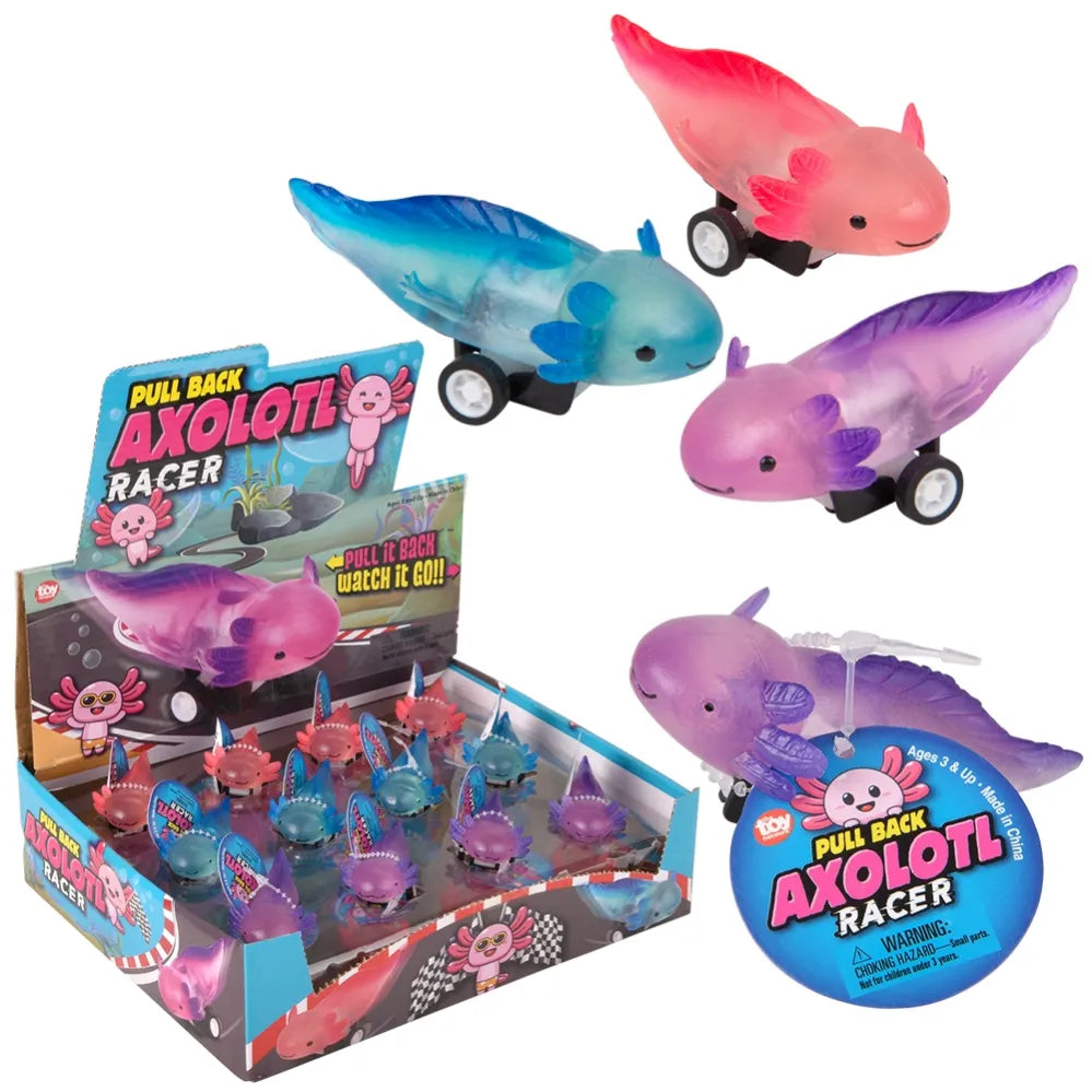 25-inch-pull-back-axolotl-24ct-658747_658747