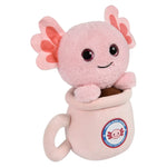 8-inch-coffee-cups-645259_130748