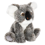 12-heirloom-floppy-koala-618121_121291