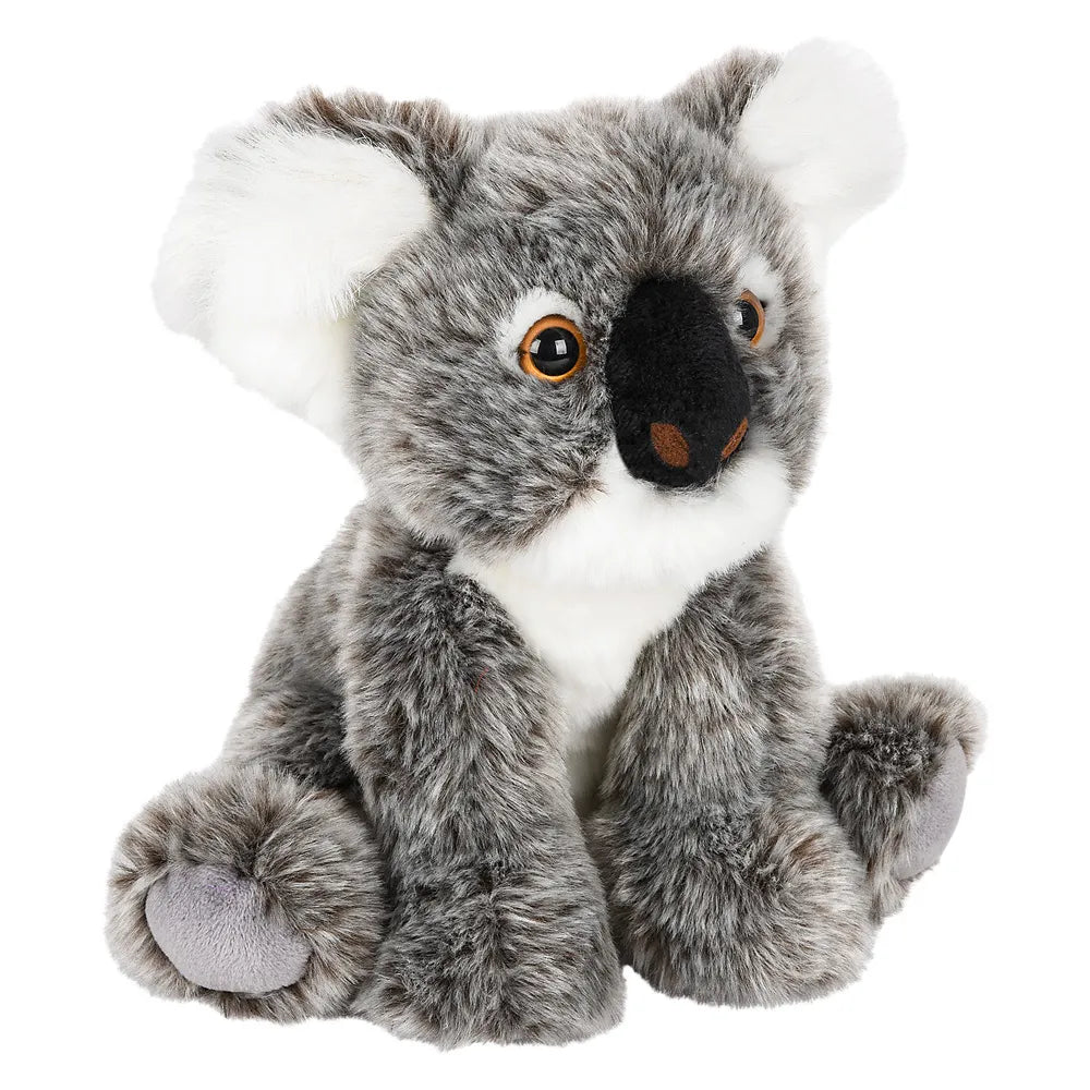 12-heirloom-floppy-koala-618121_121291