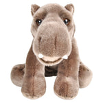 12-heirloom-floppy-hippo-617905_120827