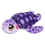 10-inch-turtle-698641_168377