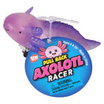 25-inch-pull-back-axolotl-24ct-658747_143802