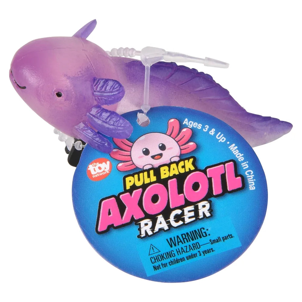 25-inch-pull-back-axolotl-24ct-658747_143802