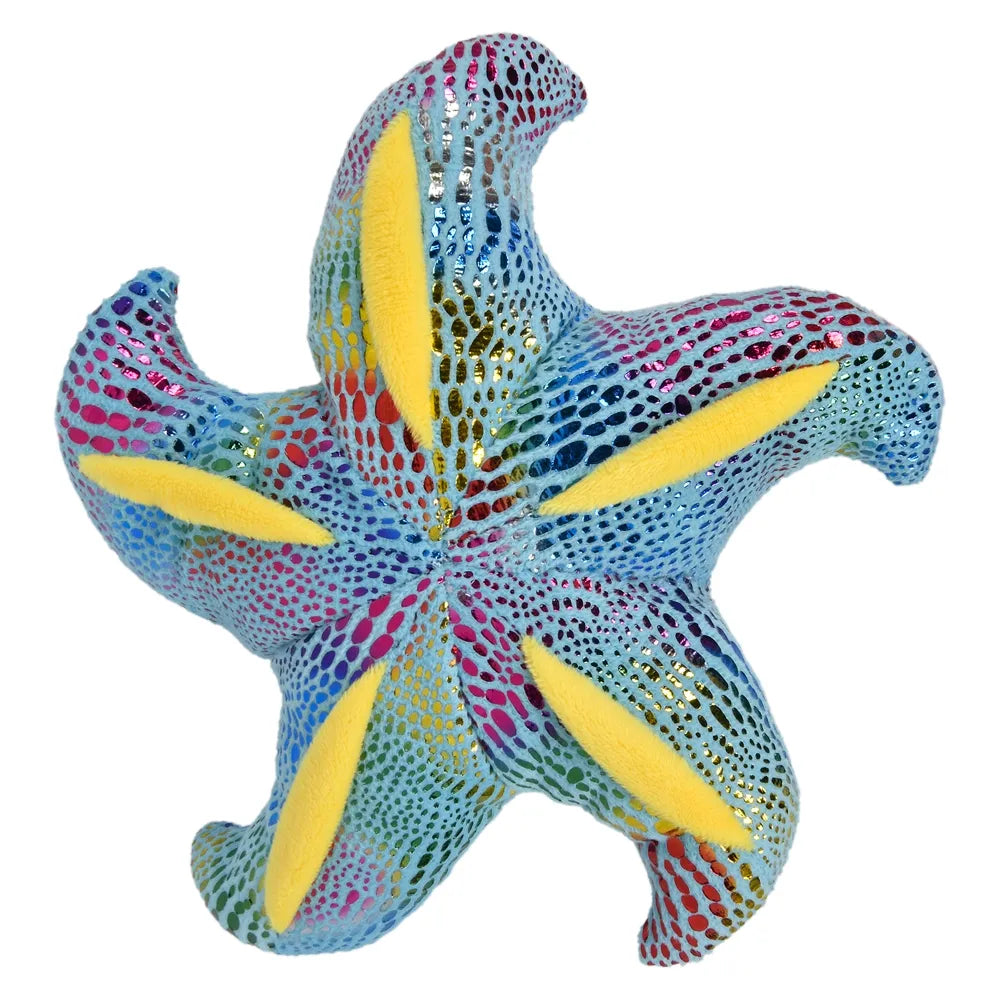 8-inch-starfish-698637_168368