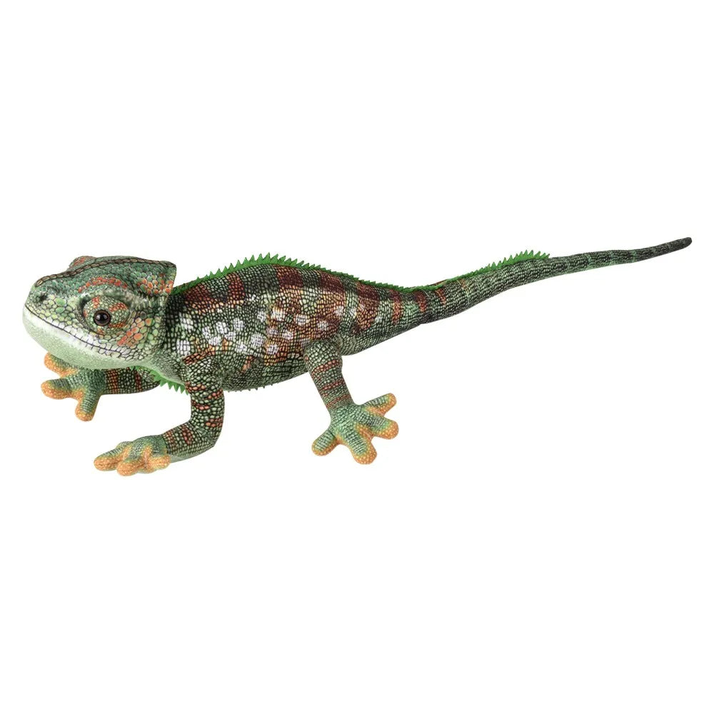 19-inch-chameleon-642517_126196