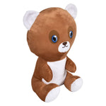 vp-10-inch-sitting-panadabeardog-657790_140833