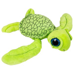 12-inch-turtle-657641_140522