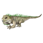 33-inch-iguana-642542_126251