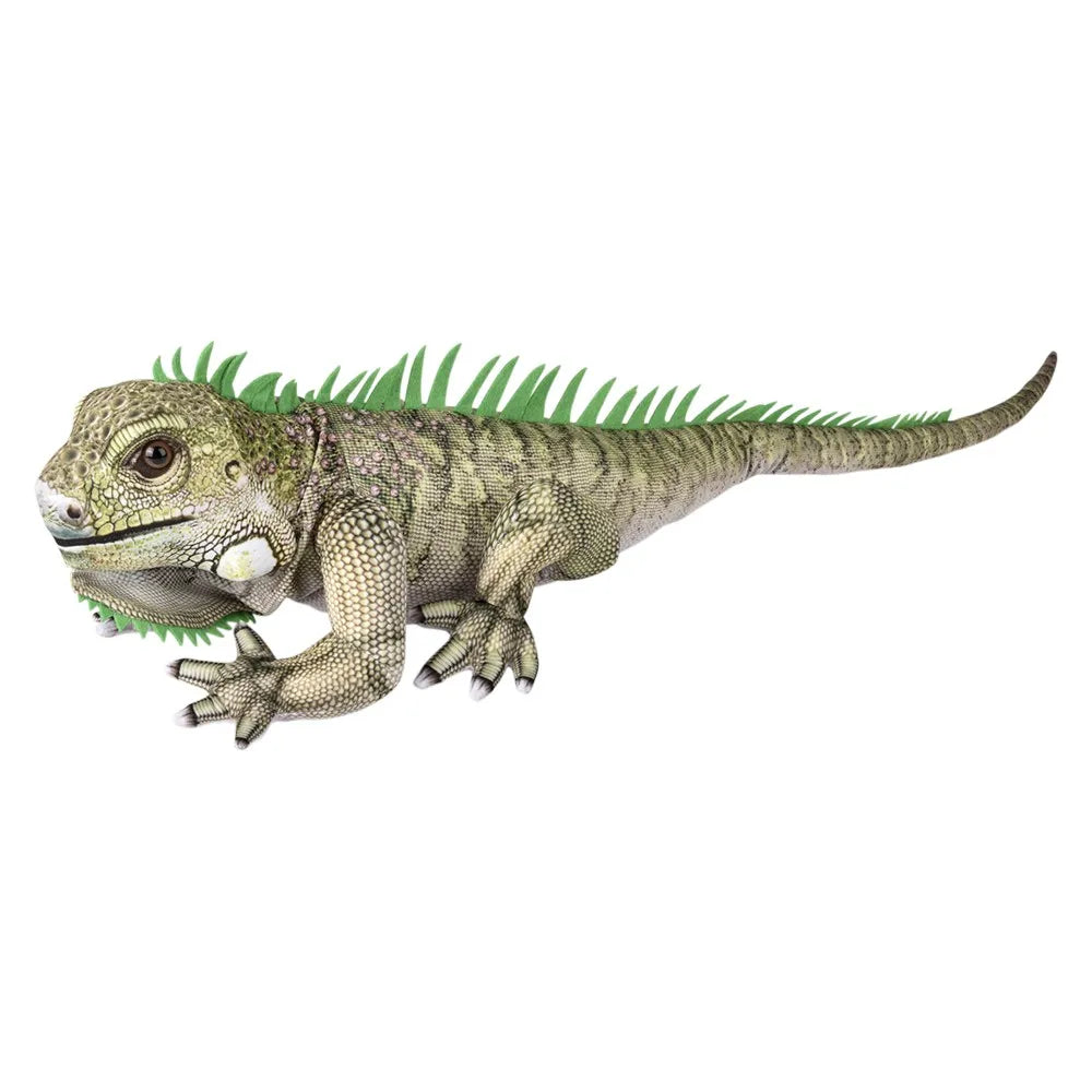 33-inch-iguana-642542_126251